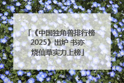 《中国独角兽排行榜2025》出炉 书亦烧仙草实力上榜