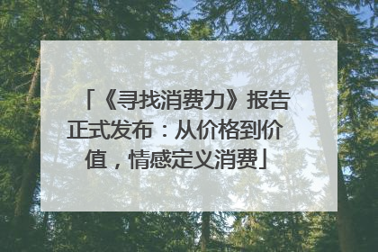 《寻找消费力》报告正式发布：从价格到价值，情感定义消费