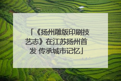 《扬州雕版印刷技艺志》在江苏扬州首发 传承城市记忆
