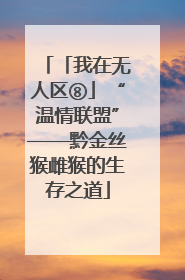 「我在无人区⑧」“温情联盟”——黔金丝猴雌猴的生存之道