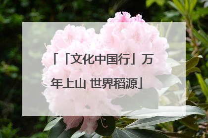 「文化中国行」万年上山 世界稻源