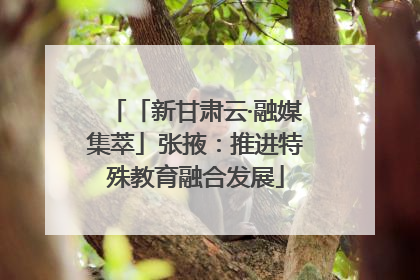 「新甘肃云·融媒集萃」张掖：推进特殊教育融合发展
