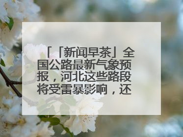 「新闻早茶」全国公路最新气象预报，河北这些路段将受雷暴影响，还有这些热点……