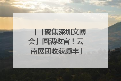 「聚焦深圳文博会」圆满收官！云南展团收获颇丰