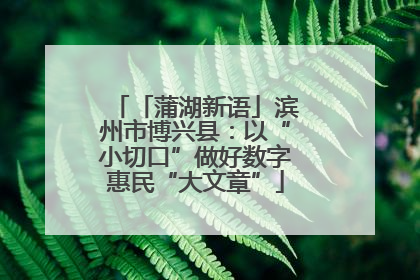 「蒲湖新语」滨州市博兴县：以“小切口”做好数字惠民“大文章”