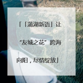「蒲湖新语」让“友城之花”跨海向阳，尽情绽放
