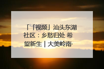 「视频」汕头东湖社区：乡愁归处 希望新生｜大美岭南·百村焕新记