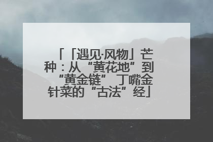 「遇见·风物」芒种：从“黄花地”到“黄金链” 丁嘴金针菜的“古法”经