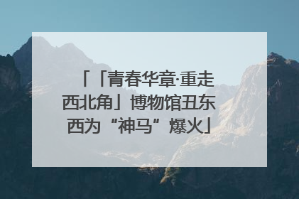 「青春华章·重走西北角」博物馆丑东西为“神马”爆火