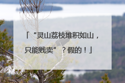 “灵山荔枝堆积如山，只能贱卖”？假的！
