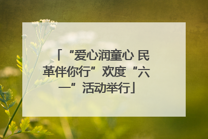 “爱心润童心 民革伴你行”欢度“六一”活动举行