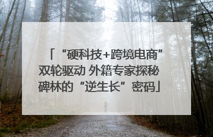 “硬科技+跨境电商”双轮驱动 外籍专家探秘碑林的“逆生长”密码