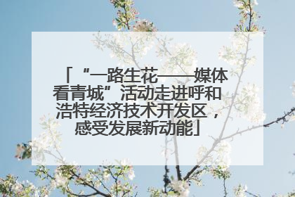 “一路生花——媒体看青城”活动走进呼和浩特经济技术开发区，感受发展新动能