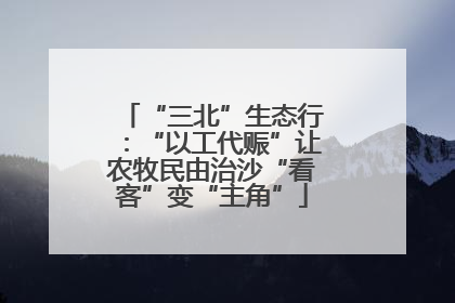 “三北”生态行：“以工代赈”让农牧民由治沙“看客”变“主角”