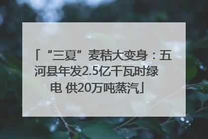 “三夏”麦秸大变身：五河县年发2.5亿千瓦时绿电 供20万吨蒸汽