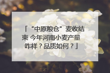“中原粮仓”麦收结束 今年河南小麦产量咋样？品质如何？