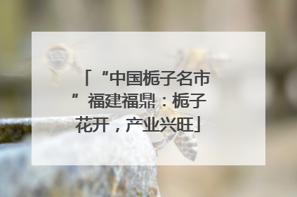 “中国栀子名市”福建福鼎：栀子花开，产业兴旺