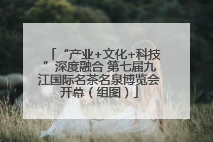 “产业+文化+科技”深度融合 第七届九江国际名茶名泉博览会开幕（组图）