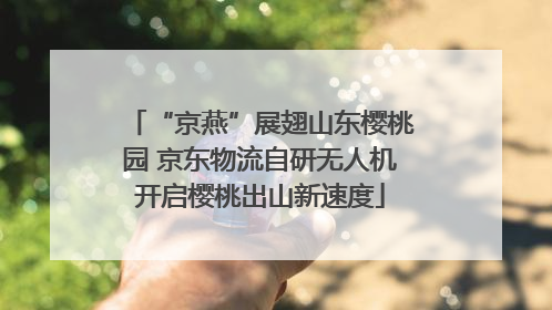 “京燕”展翅山东樱桃园 京东物流自研无人机开启樱桃出山新速度