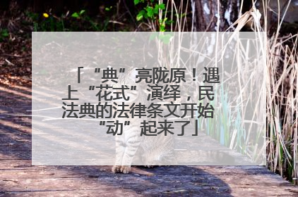 “典”亮陇原！遇上“花式”演绎，民法典的法律条文开始“动”起来了