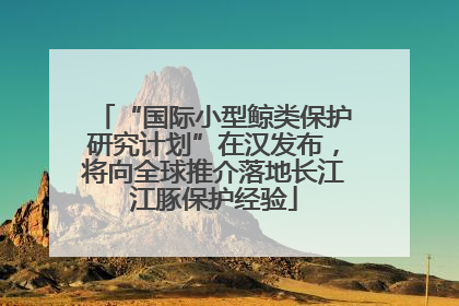 “国际小型鲸类保护研究计划”在汉发布，将向全球推介落地长江江豚保护经验