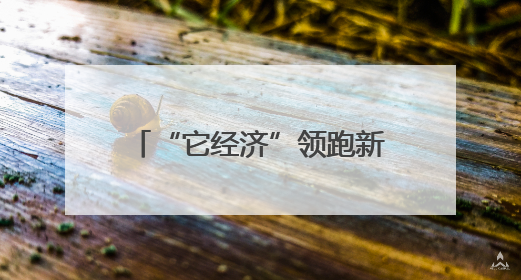 “它经济”领跑新消费！长宁打造宠物经济消费新场景！