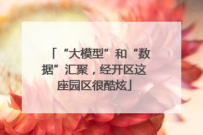 “大模型”和“数据”汇聚，经开区这座园区很酷炫