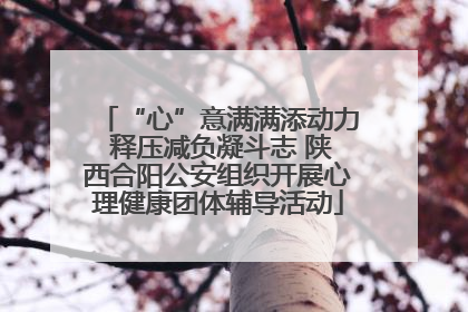 “心”意满满添动力 释压减负凝斗志 陕西合阳公安组织开展心理健康团体辅导活动