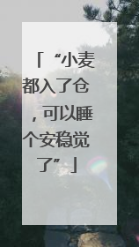 “小麦都入了仓，可以睡个安稳觉了”