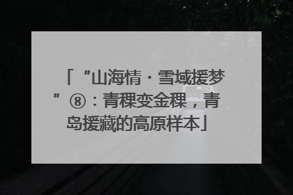 “山海情・雪域援梦”⑧：青稞变金稞，青岛援藏的高原样本