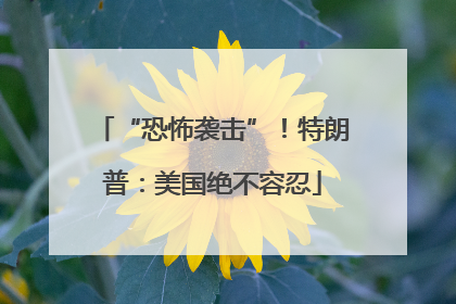“恐怖袭击”！特朗普：美国绝不容忍