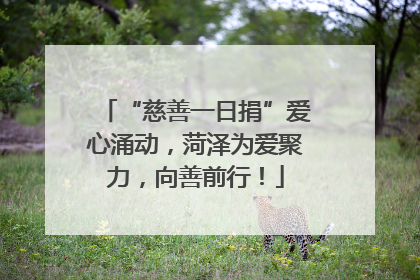 “慈善一日捐”爱心涌动，菏泽为爱聚力，向善前行！