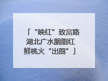 “映红”致富路 湖北广水胭脂红鲜桃火“出圈”