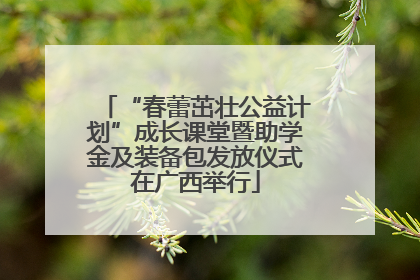 “春蕾茁壮公益计划”成长课堂暨助学金及装备包发放仪式在广西举行