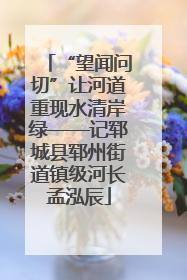 “望闻问切”让河道重现水清岸绿——记郓城县郓州街道镇级河长孟泓辰
