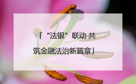 “法银”联动 共筑金融法治新篇章