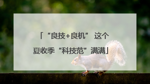 “良技+良机” 这个夏收季“科技范”满满