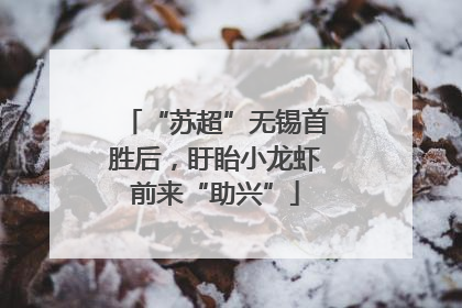 “苏超”无锡首胜后，盱眙小龙虾前来“助兴”
