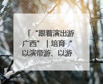 “跟着演出游广西”｜培育“以演带游、以游促消”文旅消费新生态