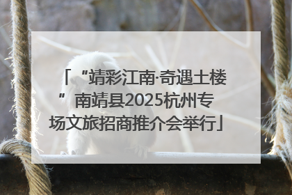 “靖彩江南·奇遇土楼”南靖县2025杭州专场文旅招商推介会举行