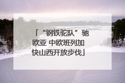 “钢铁驼队”驰欧亚 中欧班列加快山西开放步伐