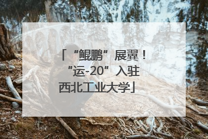 “鲲鹏”展翼！“运-20”入驻西北工业大学