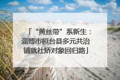 “黄丝带”系新生：淄博市桓台县多元共治铺就社矫对象回归路
