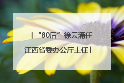 “80后”徐云涌任江西省委办公厅主任