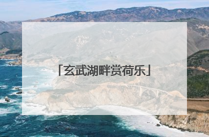 玄武湖畔赏荷乐
