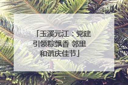 玉溪元江：党建引领粽飘香 邻里和谐庆佳节