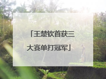 王楚钦首获三大赛单打冠军