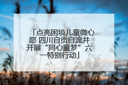 点亮困境儿童微心愿 四川自贡自流井开展“同心童梦”六一特别行动