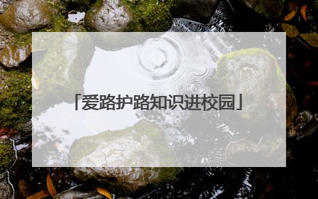 爱路护路知识进校园