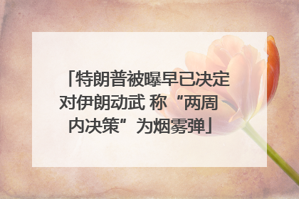 特朗普被曝早已决定对伊朗动武 称“两周内决策”为烟雾弹